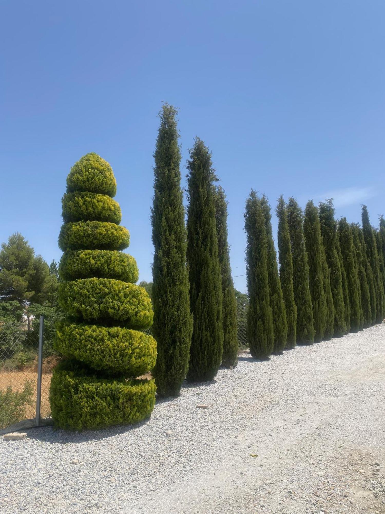 Cuevas Helena Βίλα Benamaurel Εξωτερικό φωτογραφία